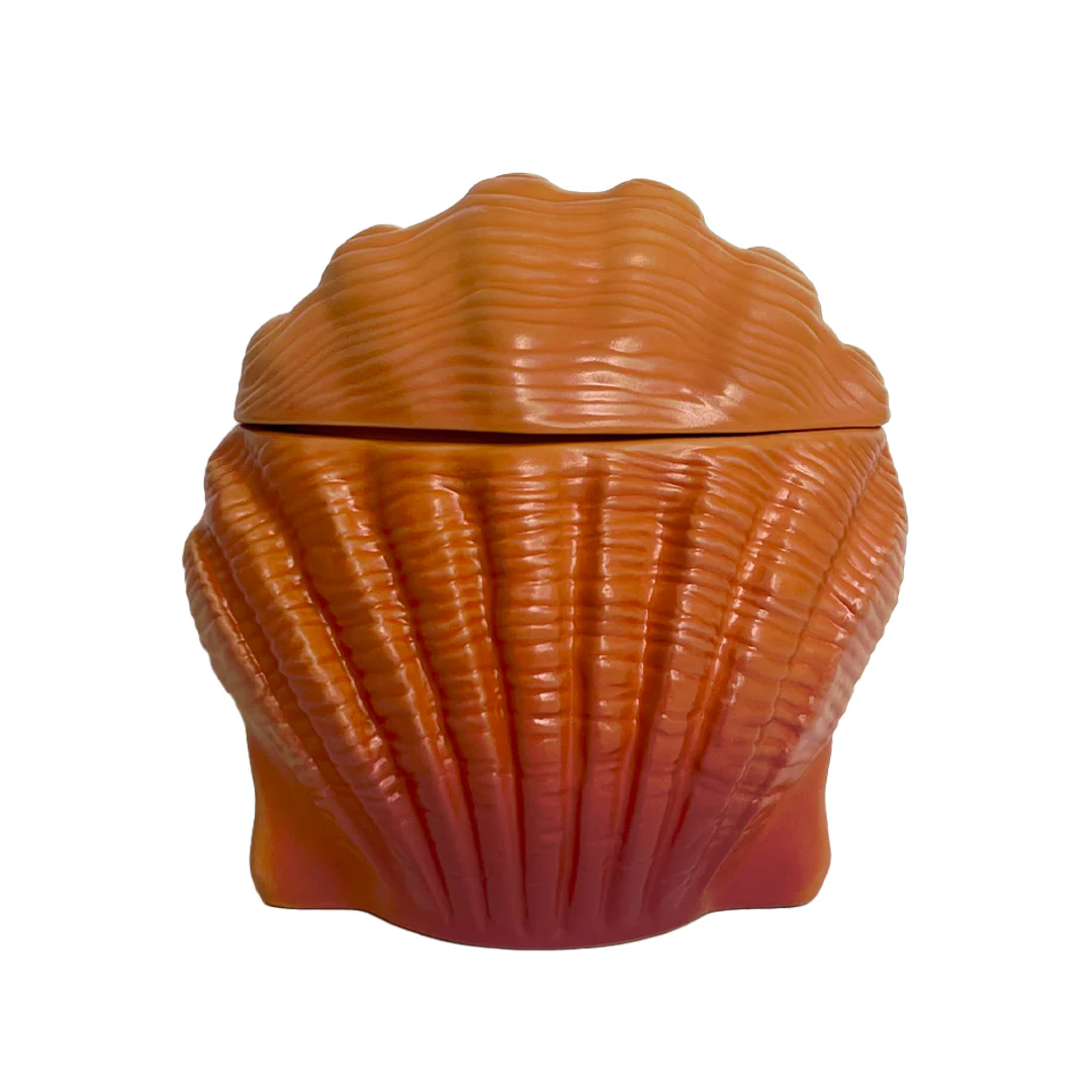 SUNRISE SHELL - Image 2